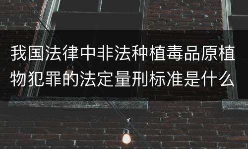 我国法律中非法种植毒品原植物犯罪的法定量刑标准是什么
