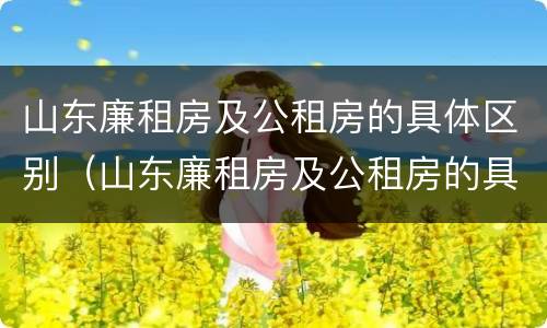 山东廉租房及公租房的具体区别（山东廉租房及公租房的具体区别在哪）