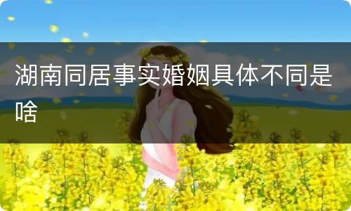 湖南同居事实婚姻具体不同是啥