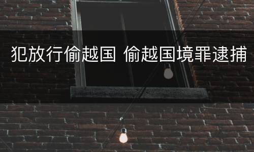 犯放行偷越国 偷越国境罪逮捕
