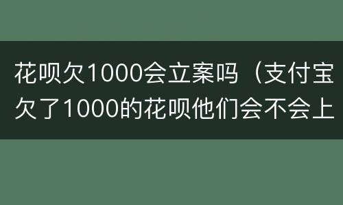 花呗欠1000会立案吗（支付宝欠了1000的花呗他们会不会上门）