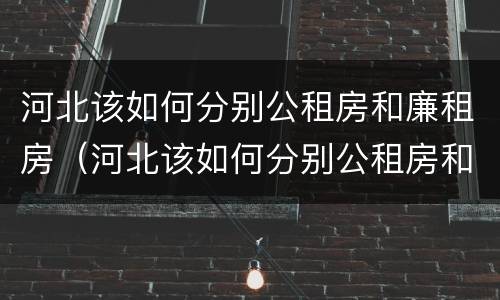 河北该如何分别公租房和廉租房（河北该如何分别公租房和廉租房的区别）