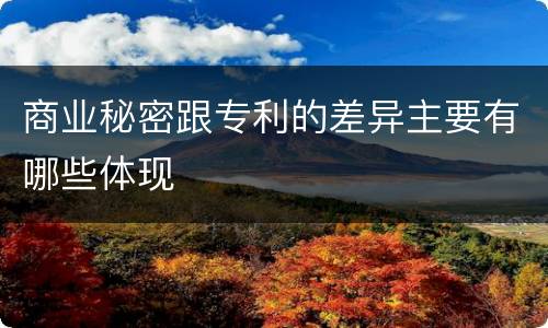 商业秘密跟专利的差异主要有哪些体现