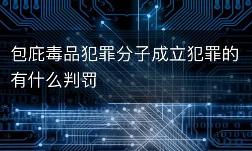包庇毒品犯罪分子成立犯罪的有什么判罚