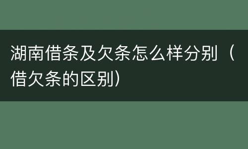 湖南借条及欠条怎么样分别（借欠条的区别）
