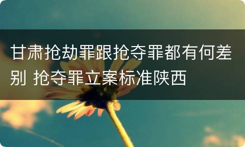 甘肃抢劫罪跟抢夺罪都有何差别 抢夺罪立案标准陕西