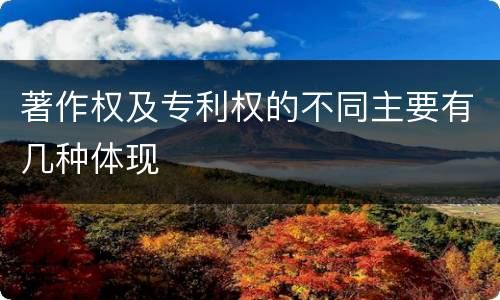 著作权及专利权的不同主要有几种体现