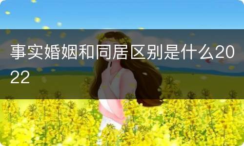 事实婚姻和同居区别是什么2022