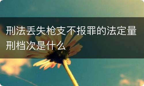 刑法丢失枪支不报罪的法定量刑档次是什么