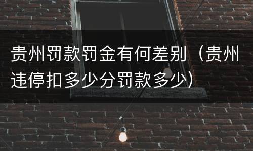 贵州罚款罚金有何差别（贵州违停扣多少分罚款多少）