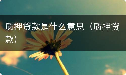 质押贷款是什么意思（质押贷款）
