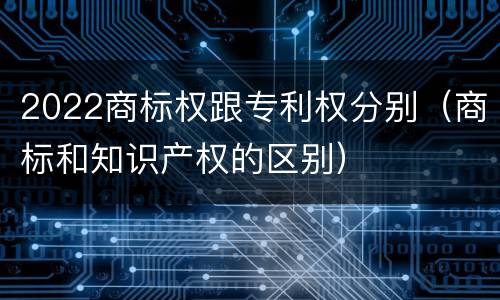 2022商标权跟专利权分别（商标和知识产权的区别）
