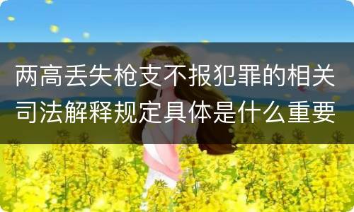 两高丢失枪支不报犯罪的相关司法解释规定具体是什么重要内容
