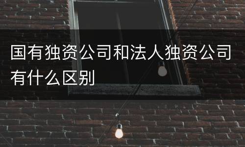 国有独资公司和法人独资公司有什么区别