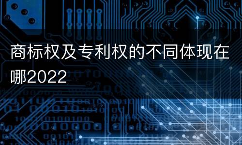 商标权及专利权的不同体现在哪2022