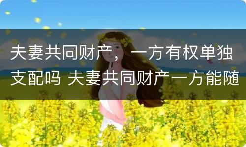 夫妻共同财产，一方有权单独支配吗 夫妻共同财产一方能随意用吗