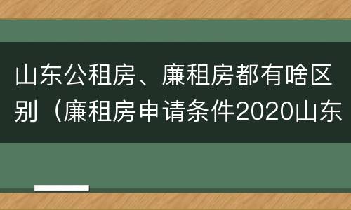 山东公租房、廉租房都有啥区别（廉租房申请条件2020山东）
