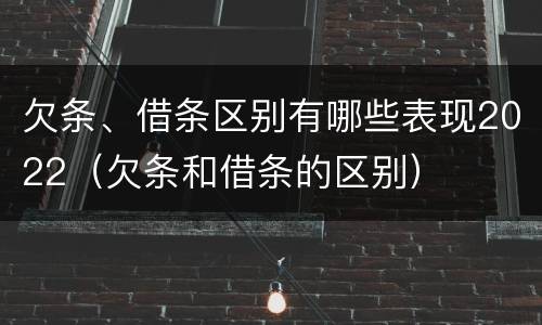 欠条、借条区别有哪些表现2022（欠条和借条的区别）