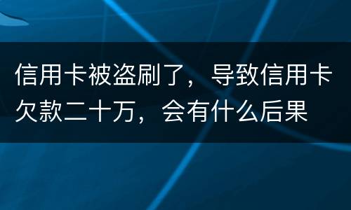 信用卡被盗刷了，导致信用卡欠款二十万，会有什么后果