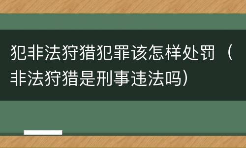 犯非法狩猎犯罪该怎样处罚（非法狩猎是刑事违法吗）