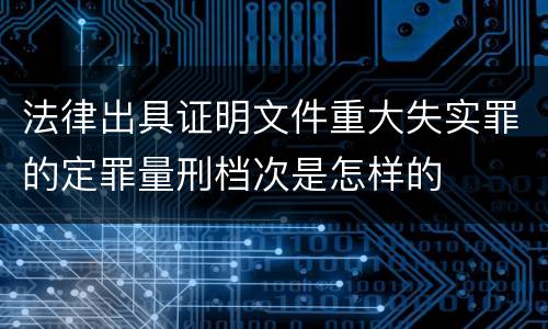 法律出具证明文件重大失实罪的定罪量刑档次是怎样的