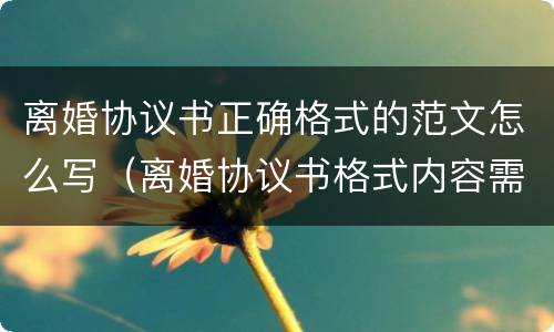 离婚协议书正确格式的范文怎么写（离婚协议书格式内容需要怎么写）
