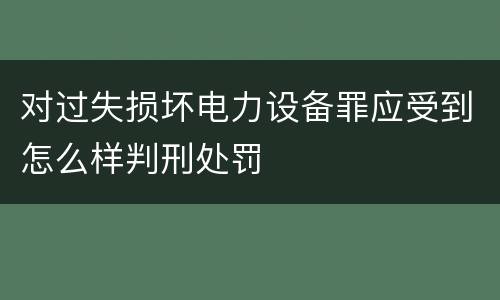 对过失损坏电力设备罪应受到怎么样判刑处罚