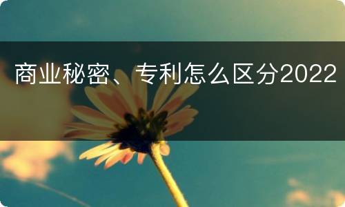 商业秘密、专利怎么区分2022