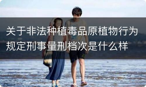 关于非法种植毒品原植物行为规定刑事量刑档次是什么样