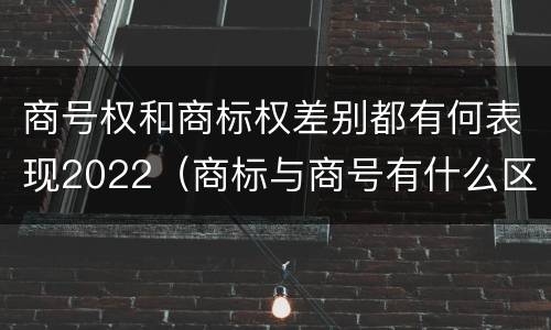 商号权和商标权差别都有何表现2022（商标与商号有什么区别）