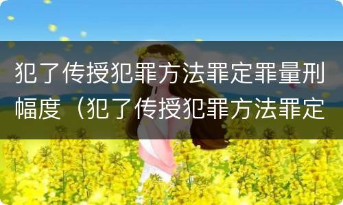 犯了传授犯罪方法罪定罪量刑幅度（犯了传授犯罪方法罪定罪量刑幅度是多少）