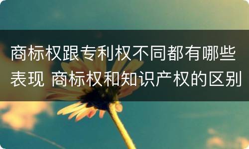 商标权跟专利权不同都有哪些表现 商标权和知识产权的区别