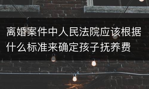 离婚案件中人民法院应该根据什么标准来确定孩子抚养费