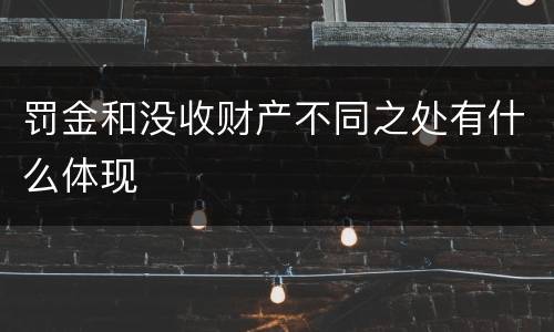 罚金和没收财产不同之处有什么体现