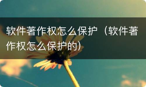 软件著作权怎么保护（软件著作权怎么保护的）