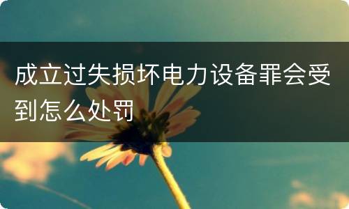 成立过失损坏电力设备罪会受到怎么处罚