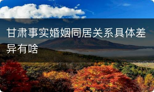 甘肃事实婚姻同居关系具体差异有啥