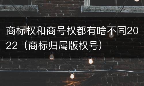 商标权和商号权都有啥不同2022（商标归属版权号）