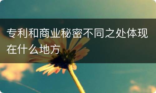 专利和商业秘密不同之处体现在什么地方