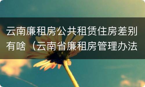 云南廉租房公共租赁住房差别有啥（云南省廉租房管理办法）
