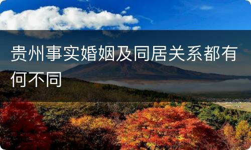 贵州事实婚姻及同居关系都有何不同