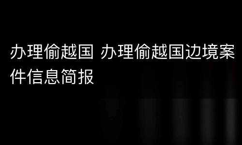办理偷越国 办理偷越国边境案件信息简报