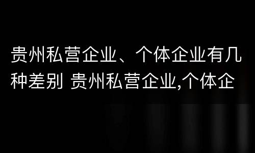 贵州私营企业、个体企业有几种差别 贵州私营企业,个体企业有几种差别是什么