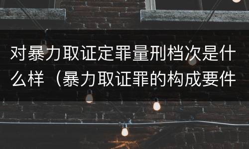 对暴力取证定罪量刑档次是什么样（暴力取证罪的构成要件）