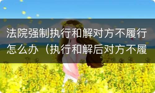 法院强制执行和解对方不履行怎么办（执行和解后对方不履行怎么办）