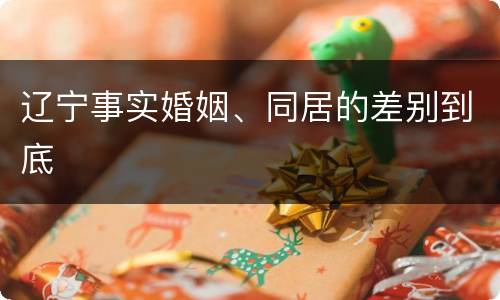 辽宁事实婚姻、同居的差别到底