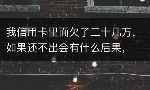 我信用卡里面欠了二十几万，如果还不出会有什么后果，