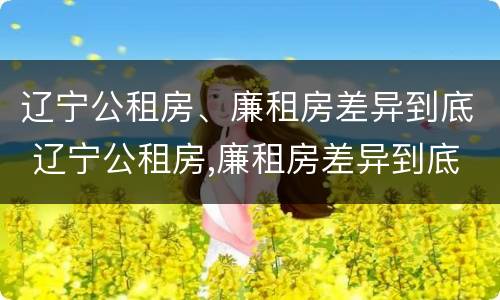 辽宁公租房、廉租房差异到底 辽宁公租房,廉租房差异到底有多大