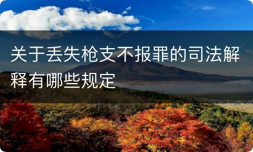 关于丢失枪支不报罪的司法解释有哪些规定