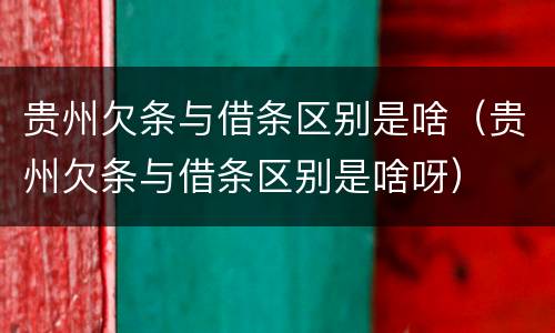 贵州欠条与借条区别是啥（贵州欠条与借条区别是啥呀）